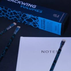 Blackwing Volume 2 Set Da 12 Matite In Edizione Limitata -Stilo Stile Negozio blackwing volume 2 set da 12 matite in edizione limitata 6