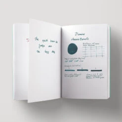 Diamine Aurora Borealis Inchiostro 30 Ml -Stilo Stile Negozio diamine aurora borealis inchiostro 30 ml 2