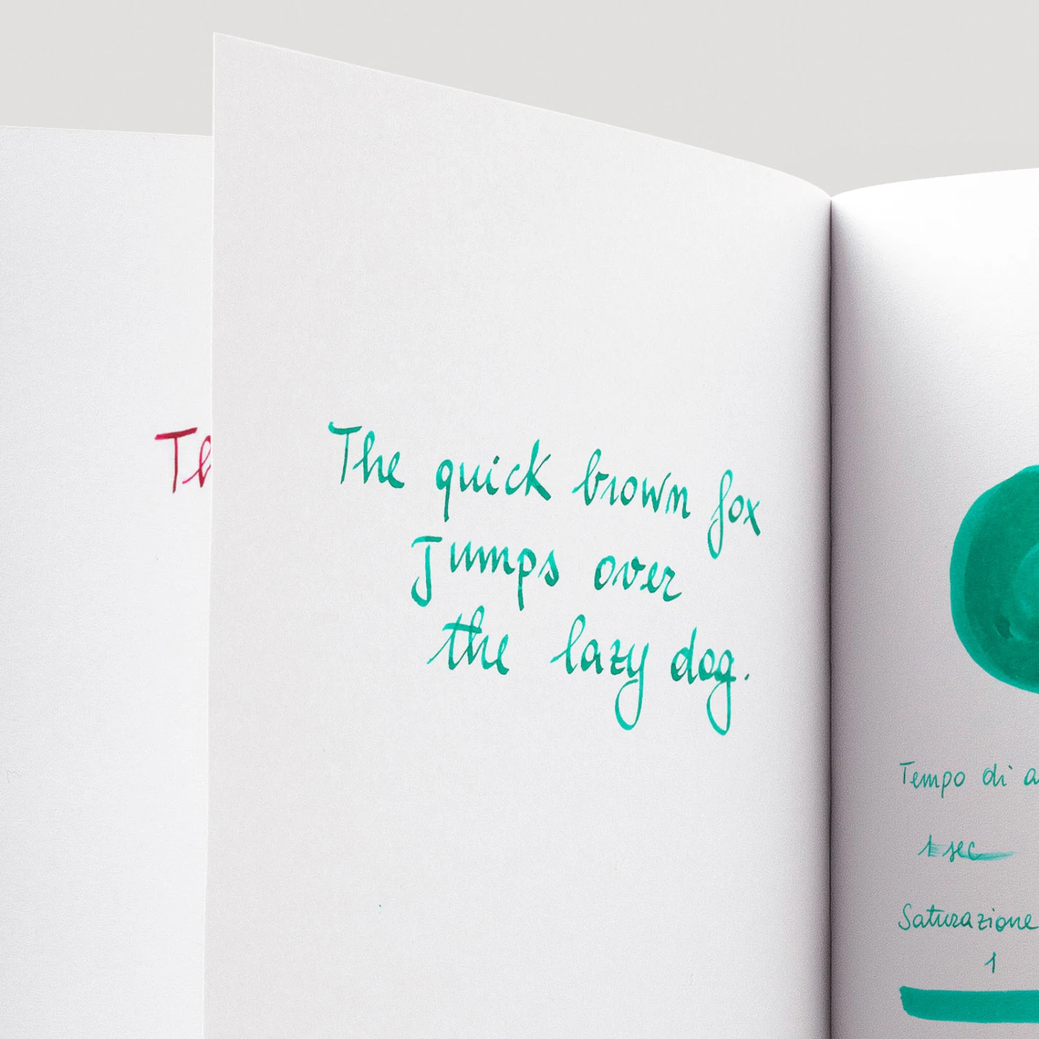 Diamine Cool Green Inchiostro 30 Ml 5 Diamine Cool Green Inchiostro 30 Ml - immagine 5