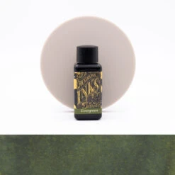 Diamine Evergreen Inchiostro 30 Ml