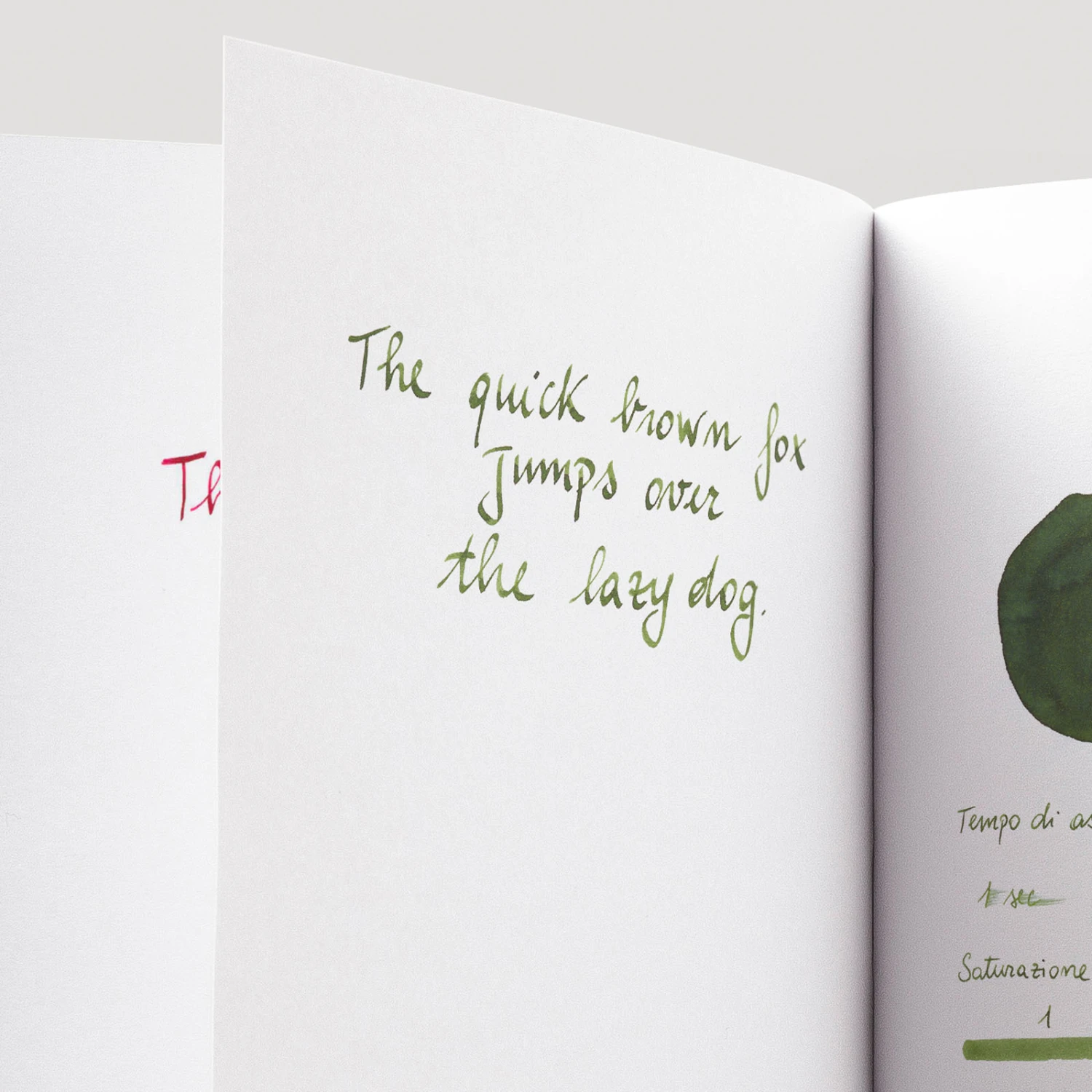 Diamine Evergreen Inchiostro 30 Ml 5 Diamine Evergreen Inchiostro 30 Ml - immagine 5