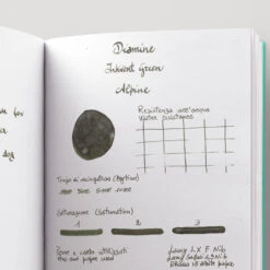 Diamine Inkvent Alpine Inchiostro 50 Ml Green Edition Shimmer -Stilo Stile Negozio diamine inkvent alpine inchiostro 50 ml green edition shimmer 4