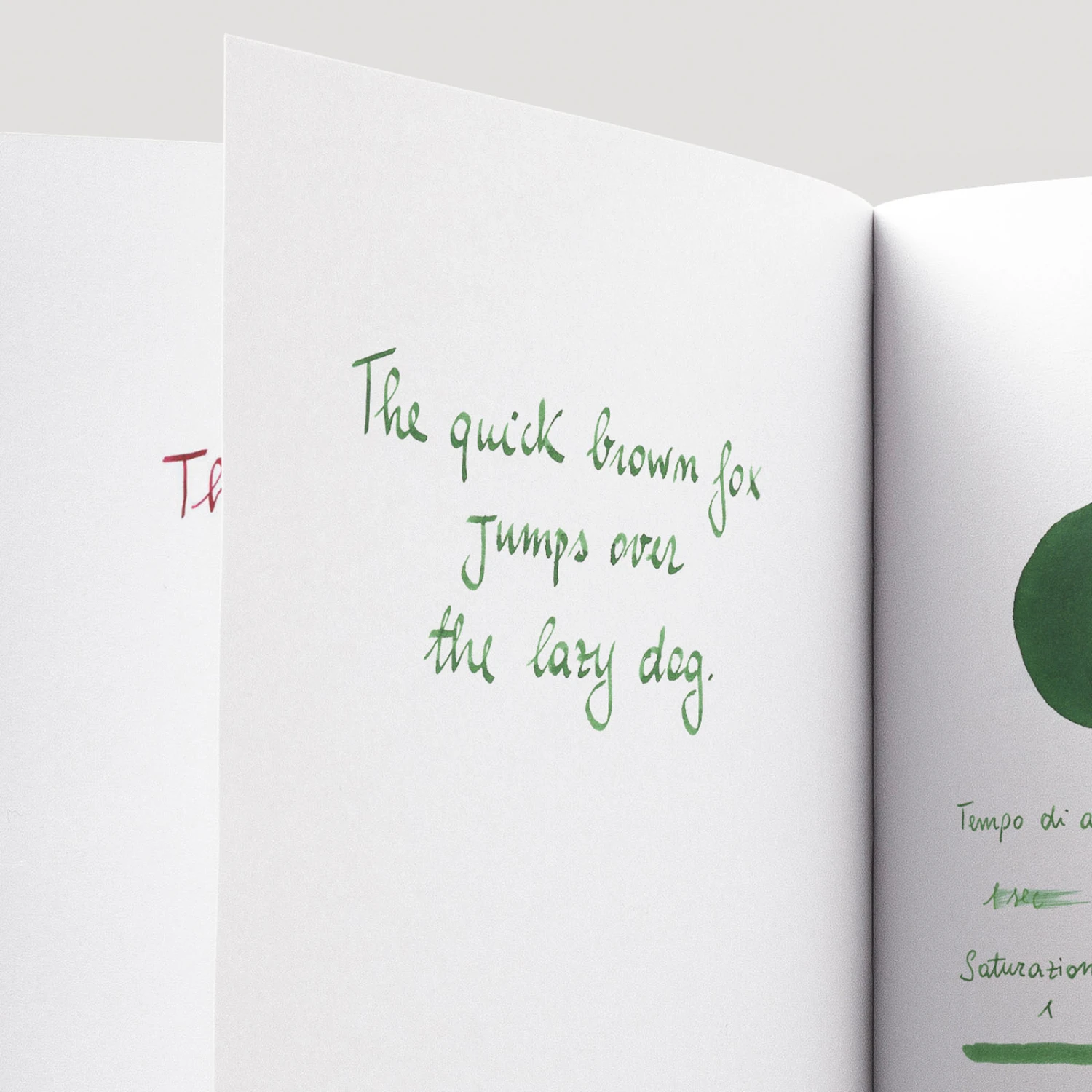 Diamine Sherwood Green Inchiostro 30 Ml 5 Diamine Sherwood Green Inchiostro 30 Ml - immagine 5