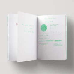 Ferris Wheel Press Morningside Mint Inchiostro 38 Ml 10 Ferris Wheel Press Morningside Mint Inchiostro 38 Ml -Stilo Stile Negozio ferris wheel press morningside mint inchiostro 38 ml 3