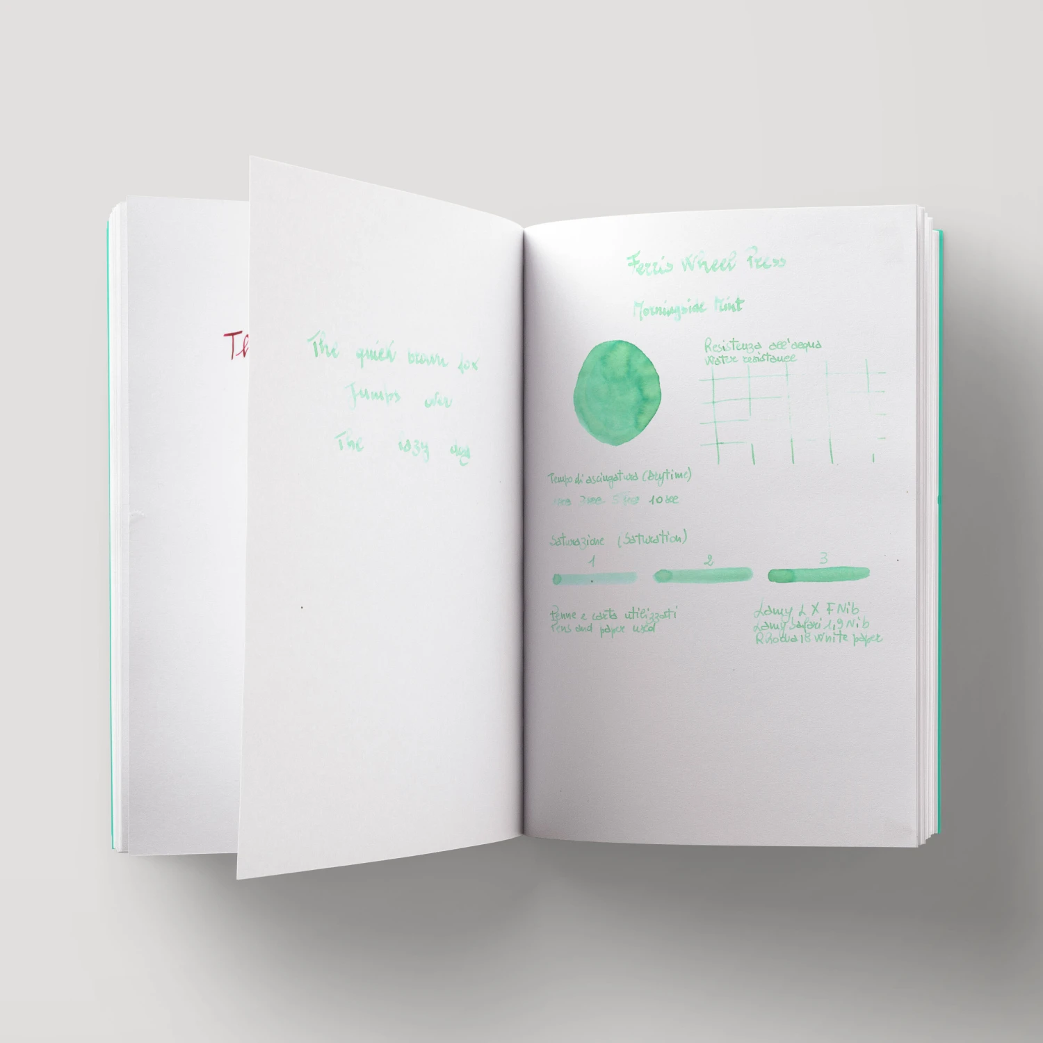 Ferris Wheel Press Morningside Mint Inchiostro 38 Ml 4 Ferris Wheel Press Morningside Mint Inchiostro 38 Ml - immagine 4