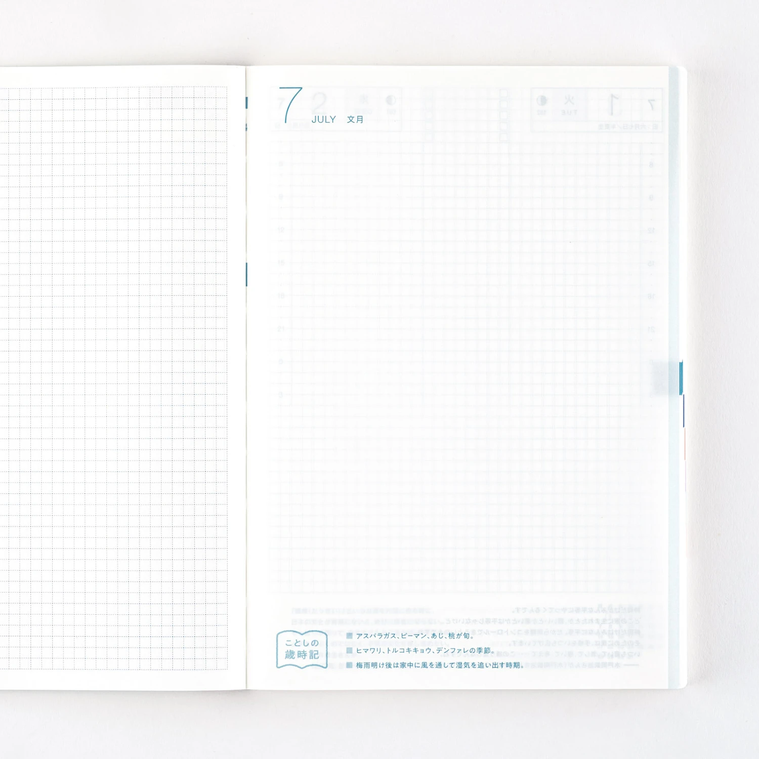 Hobonichi Techo Cousin Avec Books 2025 Agenda A5 Giornaliera 9 Hobonichi Techo Cousin Avec Books 2025 Agenda A5 Giornaliera - immagine 9