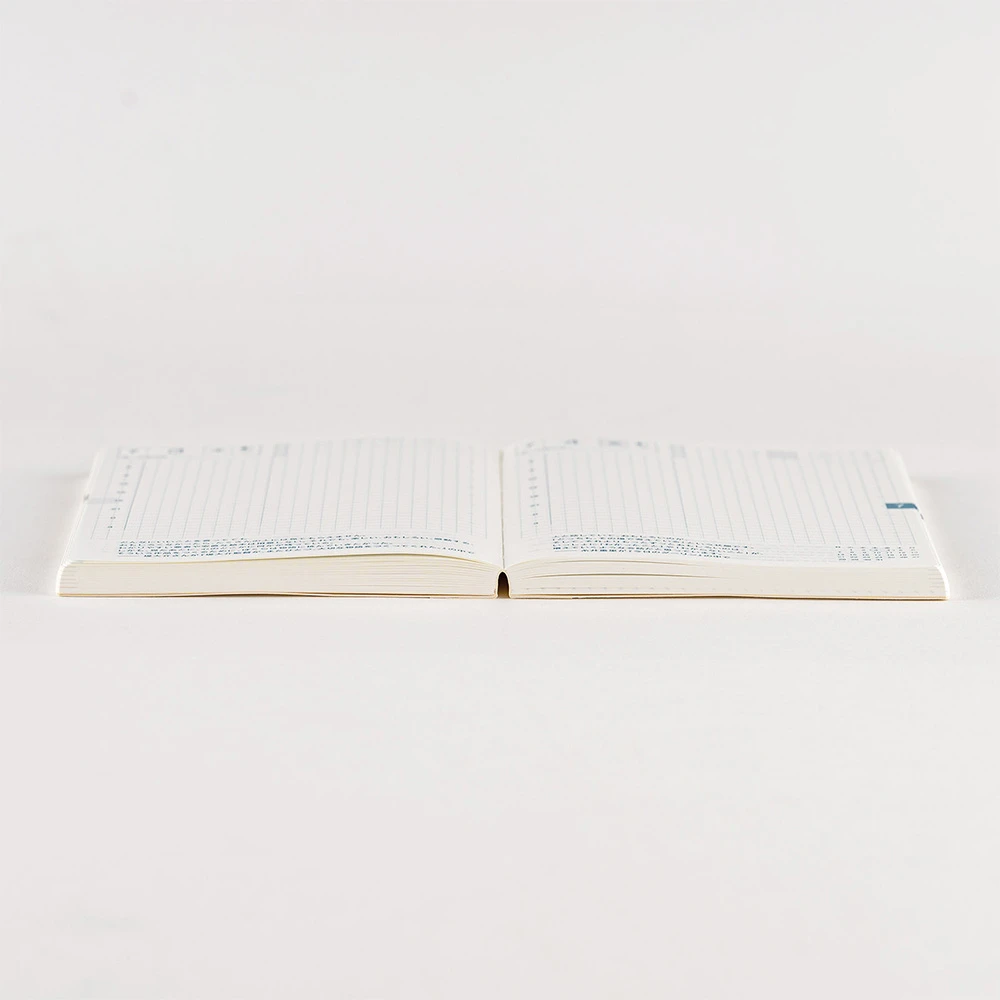 Hobonichi Techo Original Book 2025 Agenda A6 Giornaliera Spring 8 Hobonichi Techo Original Book 2025 Agenda A6 Giornaliera Spring - immagine 8