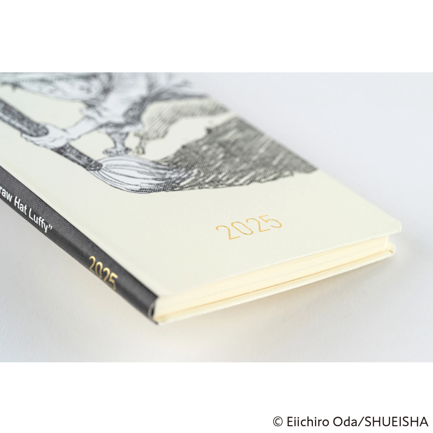 Hobonichi Techo Weeks ONE PIECE Magazine: Straw Hat Luffy (Ivory) Agenda 2025 Settimanale Spring 6 Hobonichi Techo Weeks ONE PIECE Magazine: Straw Hat Luffy (Ivory) Agenda 2025 Settimanale Spring - immagine 6