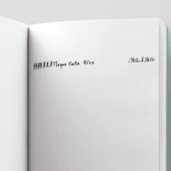 Magna Carta Mag 600 Penna Stilografica Snake Edizione Limitata 8 Magna Carta Mag 600 Penna Stilografica Snake Edizione Limitata -Stilo Stile Negozio magna carta mag 600 penna stilografica snake edizione limitata 3