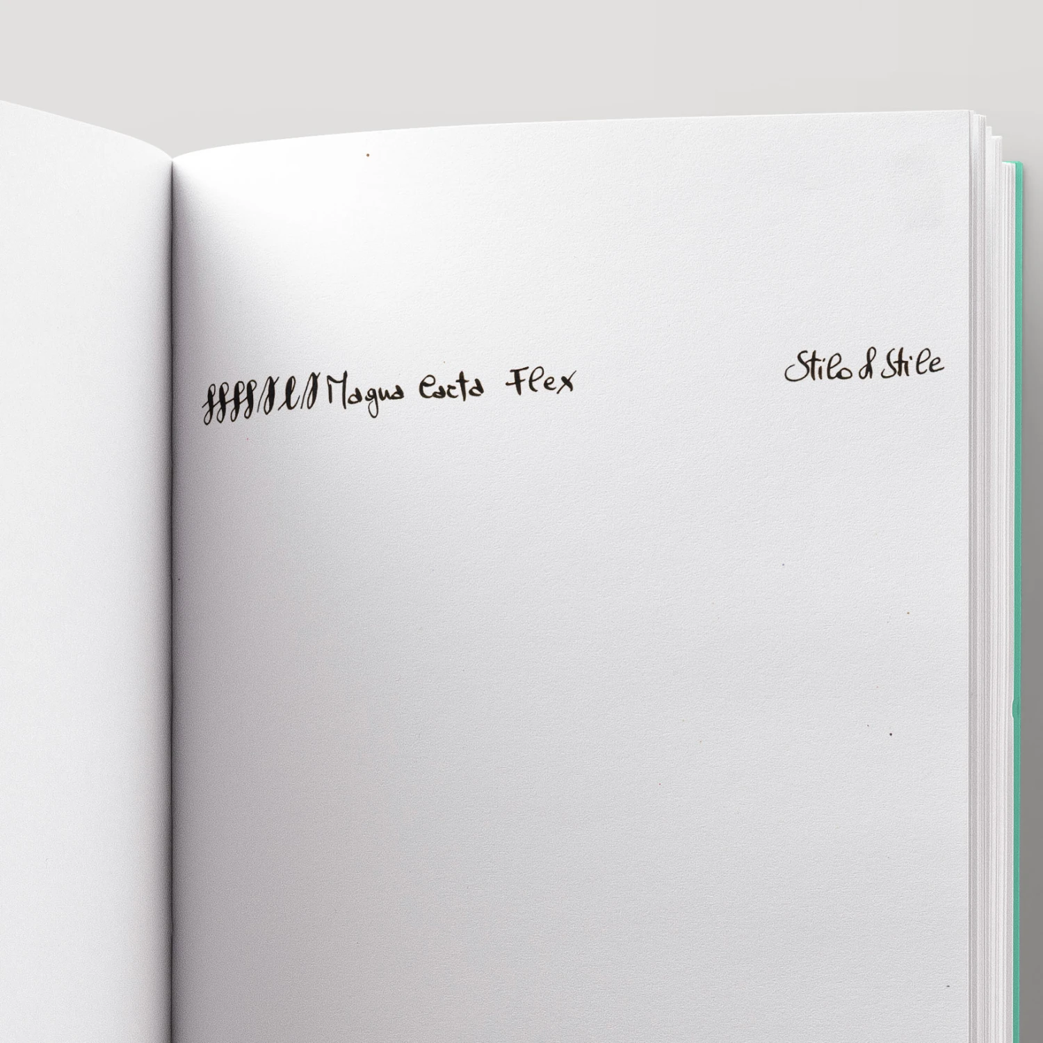 Magna Carta Mag 600 Penna Stilografica Twilight 4 Magna Carta Mag 600 Penna Stilografica Twilight - immagine 4