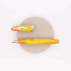 Noodler's Ahab Penna Stilografica Arizona