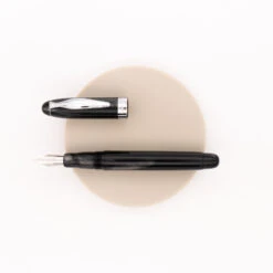 Noodler's Ahab Penna Stilografica Black Crow