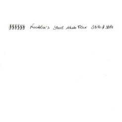 Noodler's Ahab Penna Stilografica Black Crow -Stilo Stile Negozio noodler s ahab penna stilografica black crow 4