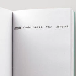 Noodler's Nib Creaper Penna Stilografica Pima Tortoise -Stilo Stile Negozio noodler s nib creaper penna stilografica pima tortoise 3