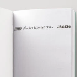 Noodler's Triple Tail Penna Stilografica Trasparente -Stilo Stile Negozio noodler s triple tail penna stilografica trasparente 4