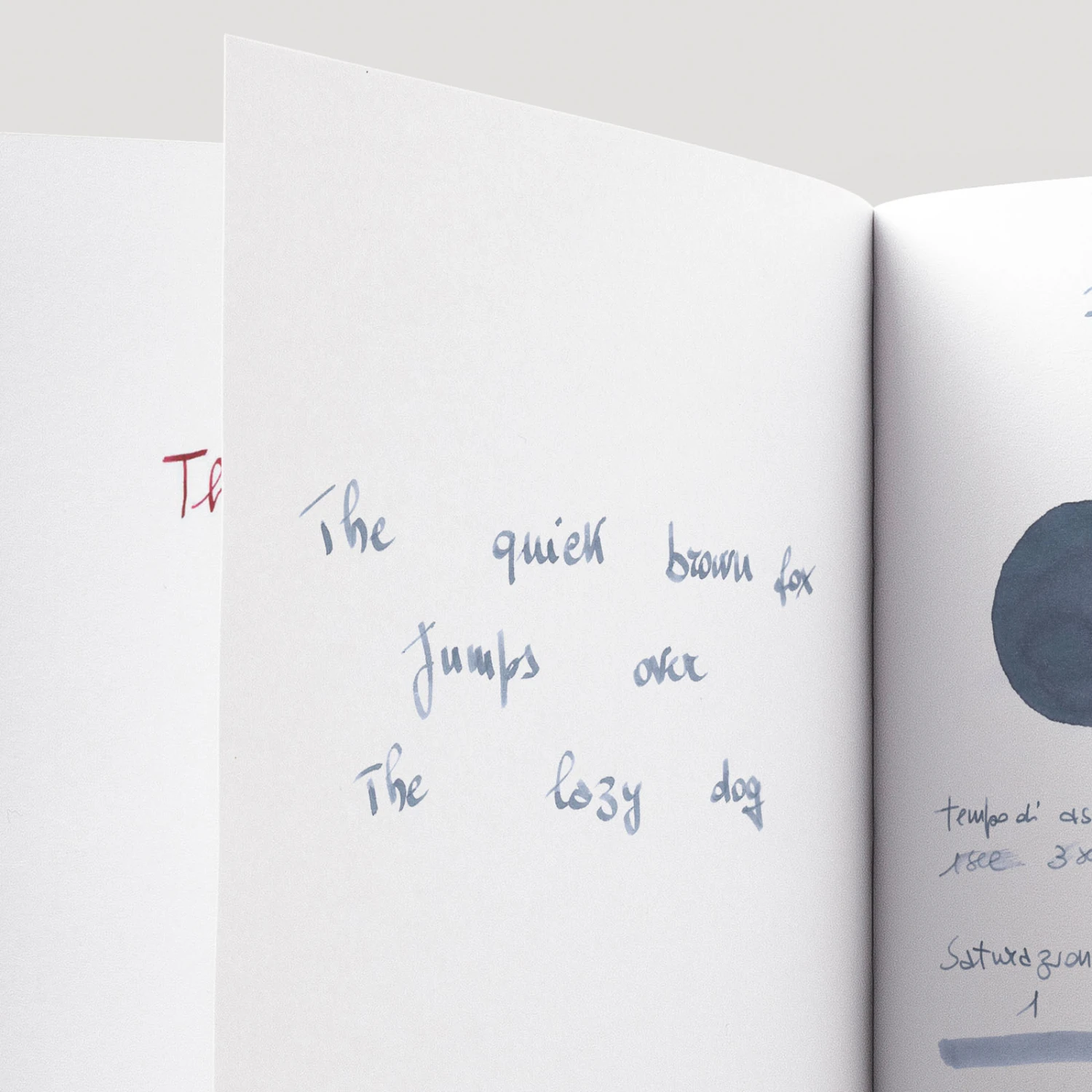 Pilot Iroshizuku Fuyu-Syogun Inchiostro 15 Ml 6 Pilot Iroshizuku Fuyu-Syogun Inchiostro 15 Ml - immagine 6