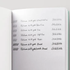 Platinum 3776 Century Penna Stilografica Chartres Blue -Stilo Stile Negozio platinum 3776 century penna stilografica chartres blue 3