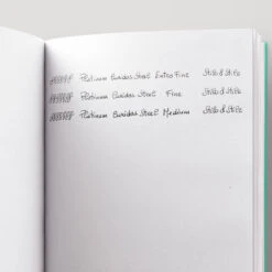 Platinum Curidas Penna Stilografica Retrattile Urban Green 8 Platinum Curidas Penna Stilografica Retrattile Urban Green -Stilo Stile Negozio platinum curidas penna stilografica retrattile urban green 3