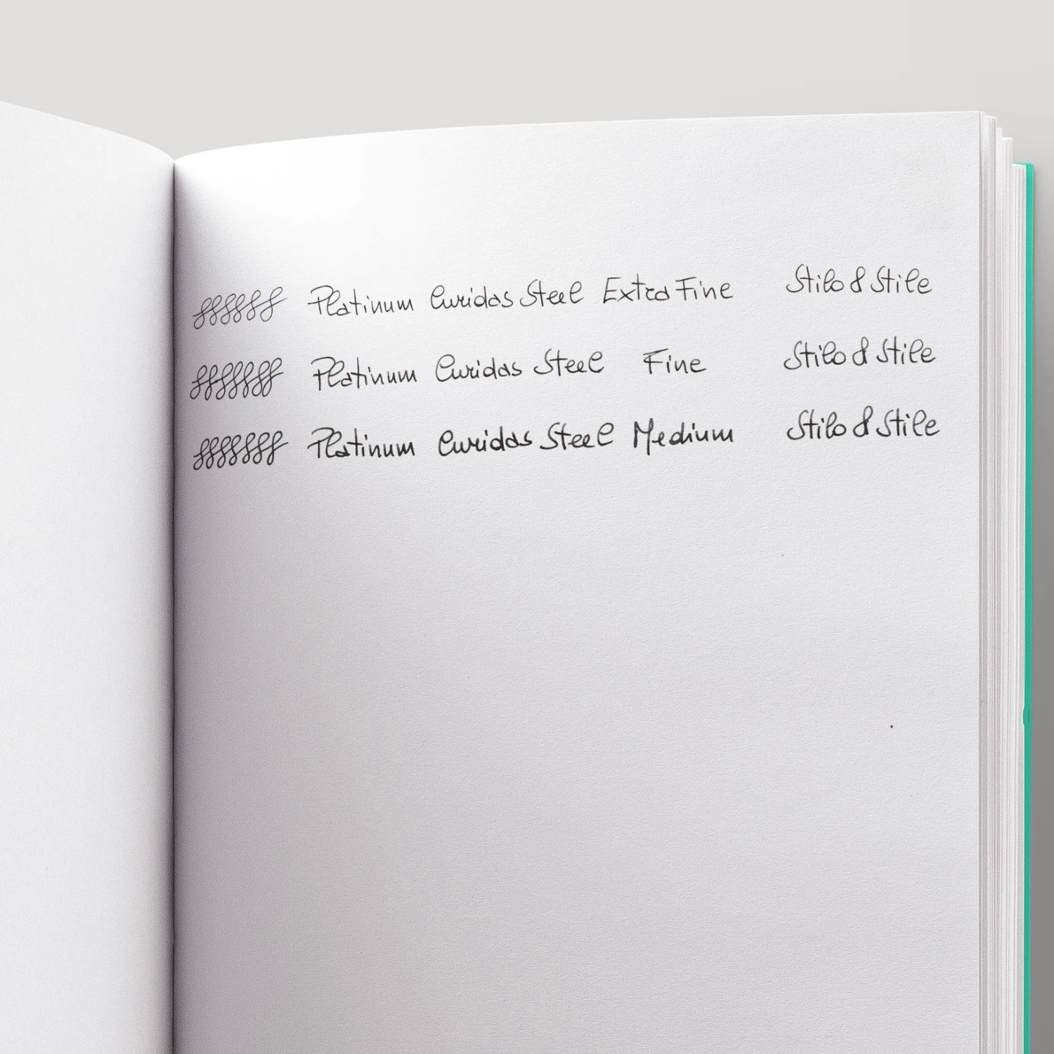 Platinum Curidas Penna Stilografica Retrattile Urban Green 4 Platinum Curidas Penna Stilografica Retrattile Urban Green - immagine 4