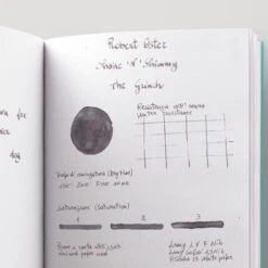 Robert Oster Shake 'N' Shimmy The Grinch Inchiostro 50 Ml Edizione Speciale -Stilo Stile Negozio robert oster shake n shimmy the grinch inchiostro 50 ml edizione speciale 3